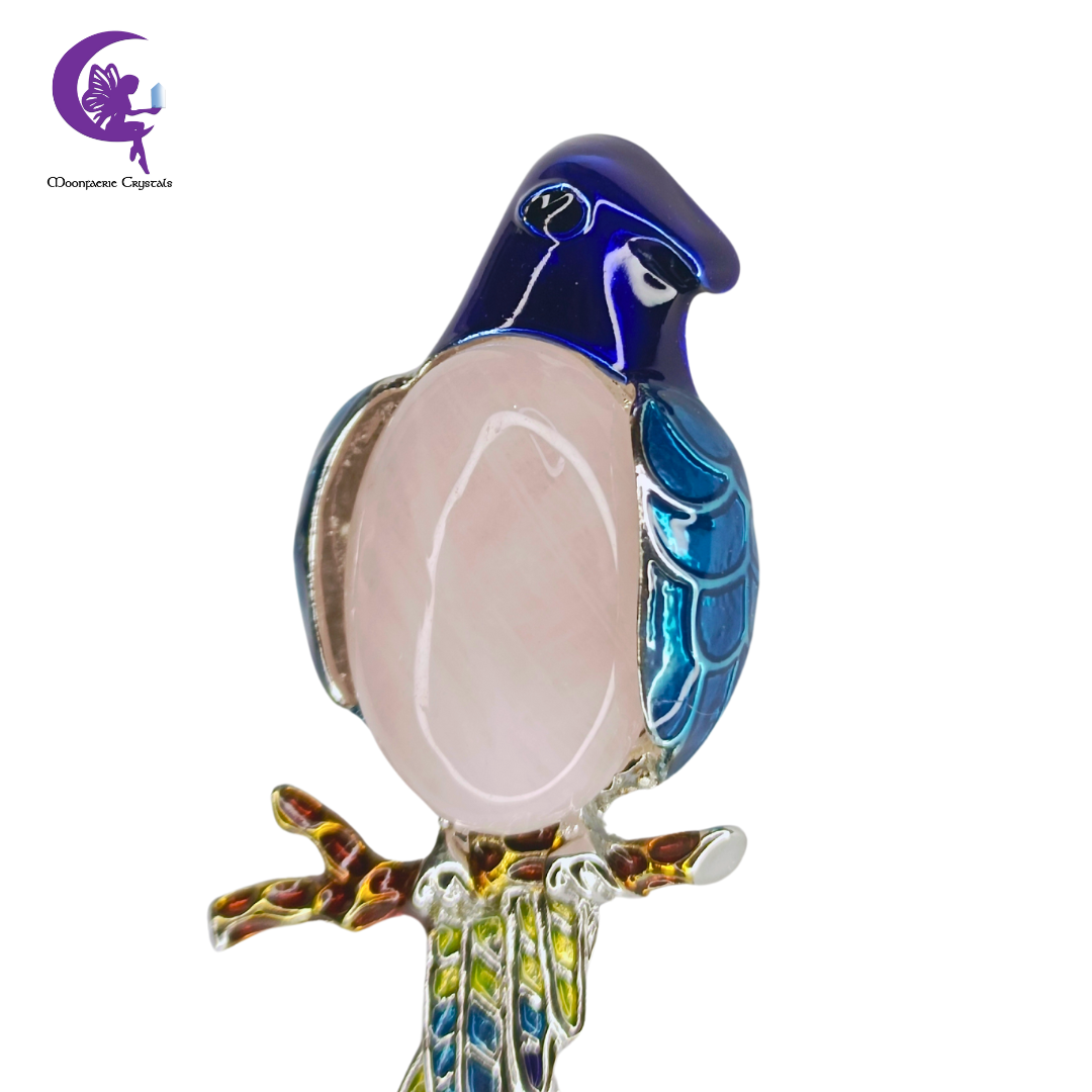 Parrot of Paradise Dual Purpose Rose Quartz Brooch & Pendant