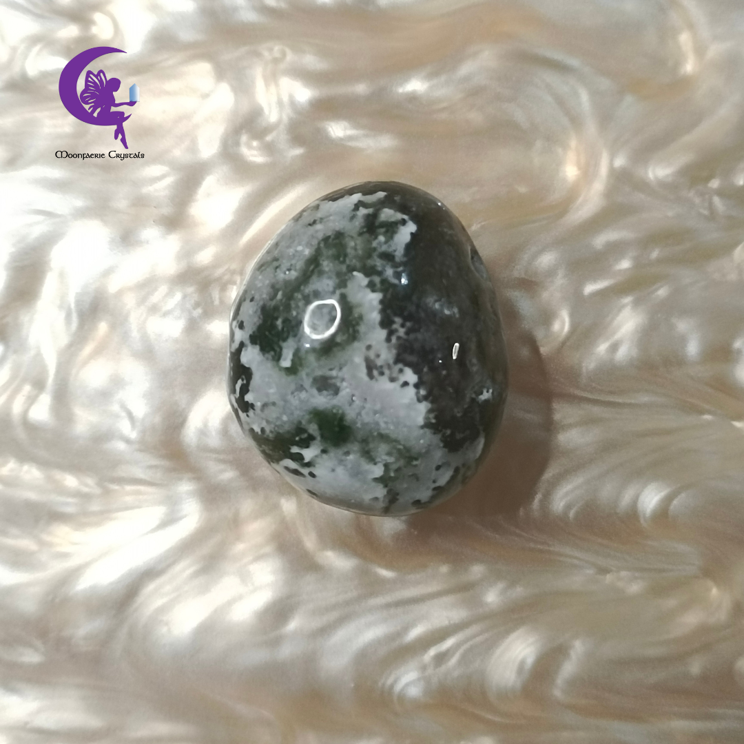 Moss Agate Tumbled Stone